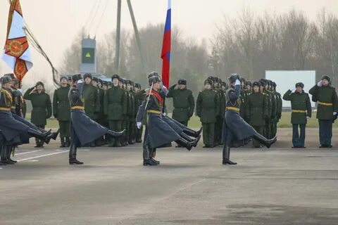 254 полка