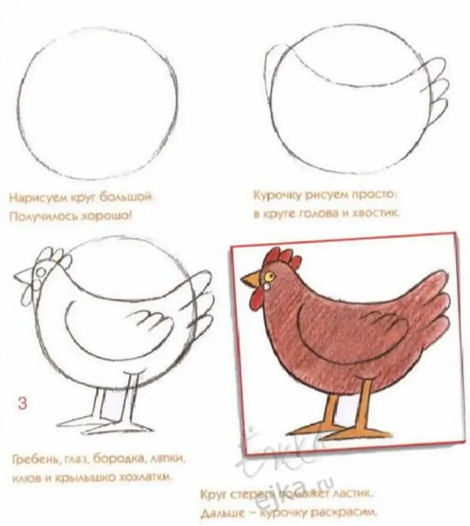 Курица рисунок пошагово. Поэтапное рисование курицы. Поэтапное рисование курицы для детей. Курица рисунок для детей поэтапно.