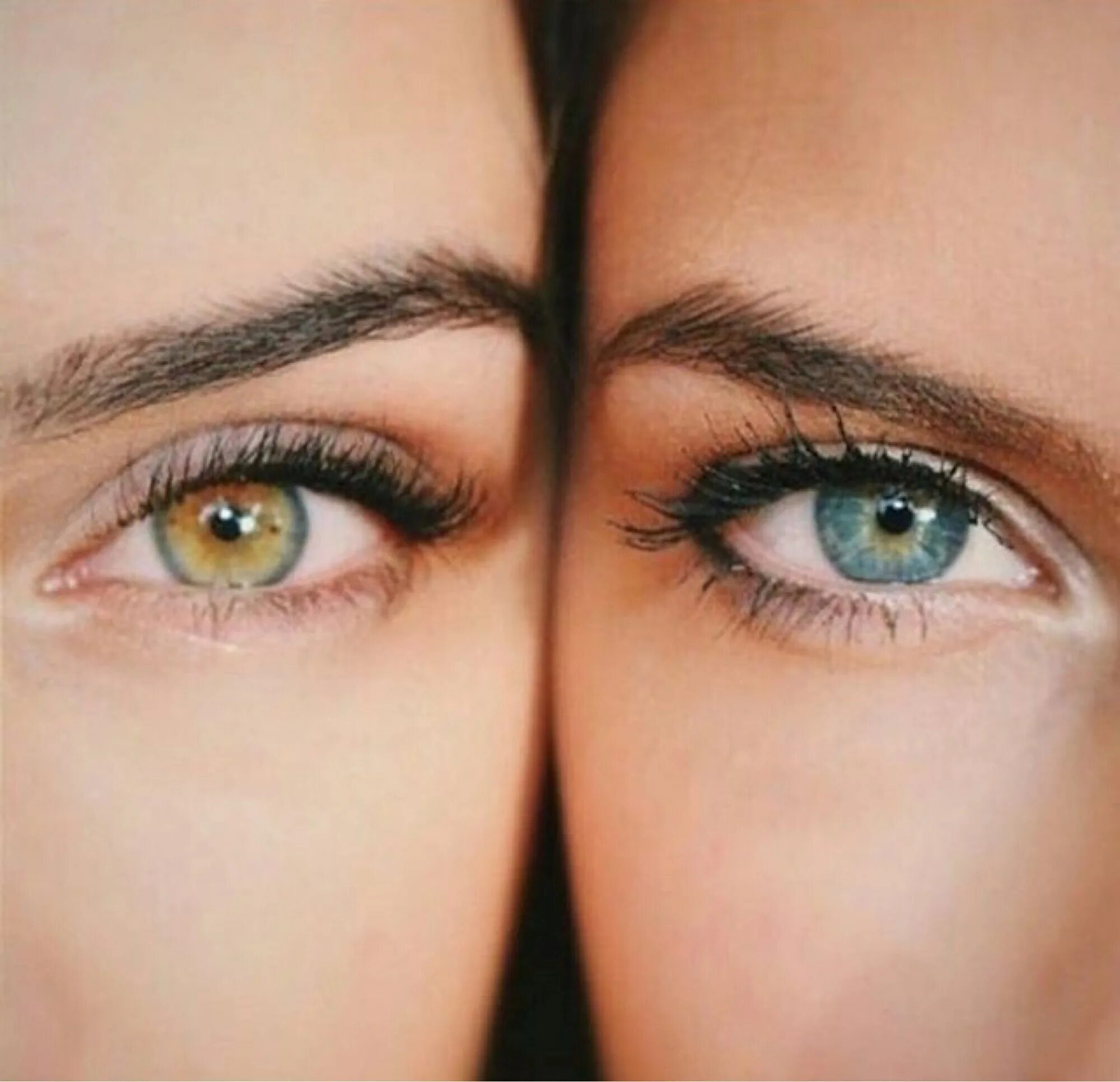 Двое глаза. Два глаза. Два глаза человека. Пара глаз. Красивые два глаза.