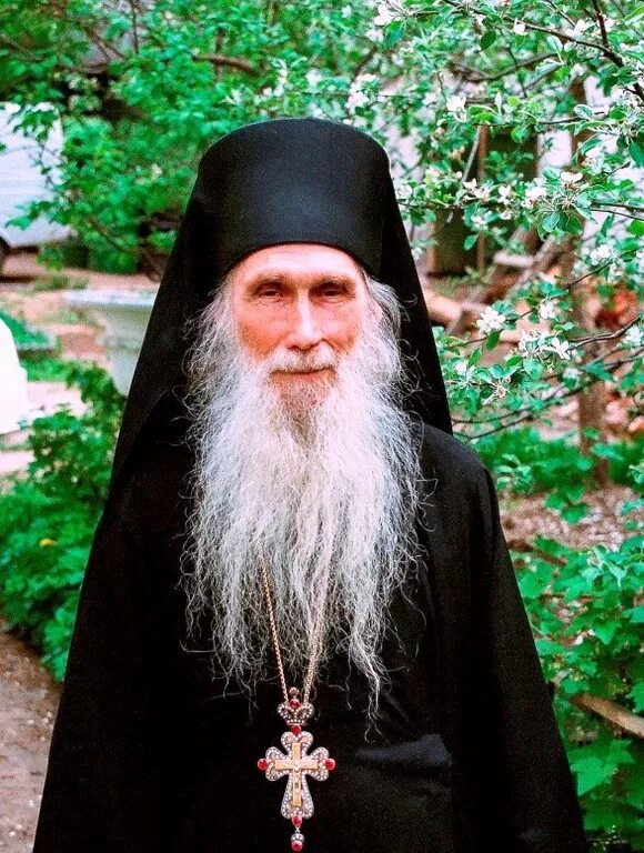 Keep your head low and your soul close to God. Archimandrite Cyril (Pavlov) 2023
