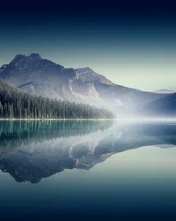 Beautiful amazing
