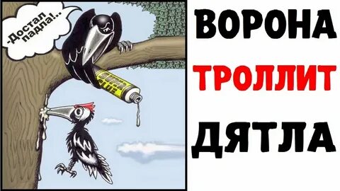 Ворона пасхалка мем