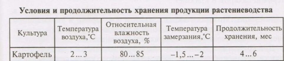 Температура картофеля в погребе. Условия хранения картофеля температура. влажность хранения картофеля. температура и влажность хранения картофеля. температурно-влажностные режимы хранения картофеля.