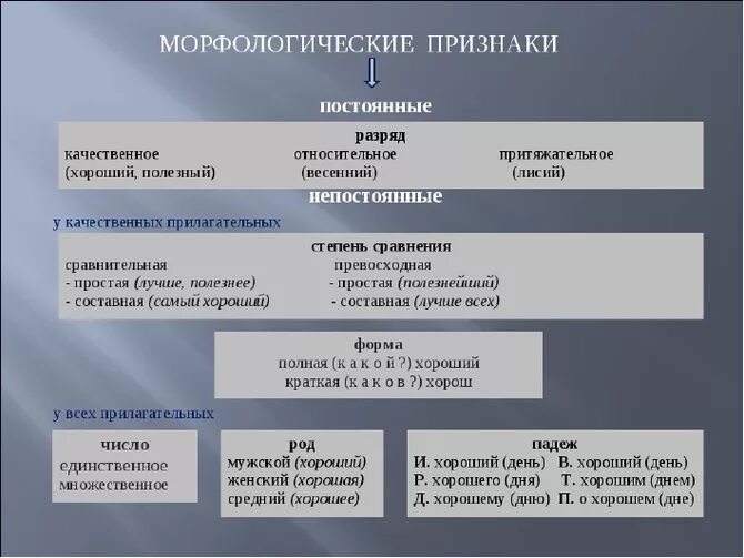 Постоянные морфологические признаки имен прилагательных. Морфологические признаки имени прилагательного. Постоянный морфологический признак прилагательного. Постоянные морфологические признаки прилагательного 6 класс. Какие признаки имеет прилагательное