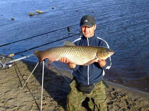 Zander - Pike Hybrid - General Discussion - Ontario Fishing Community Home