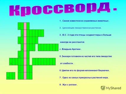 Коралловый кроссворд