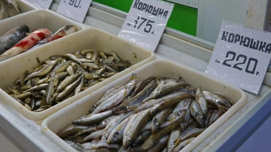 Купить рыбу во владивостоке. Владивосток рынок морепродуктов. Рыбный рынок Владивосток. Рыбный рынок в Находке. Владивосток рыбный рынок морепродуктов.