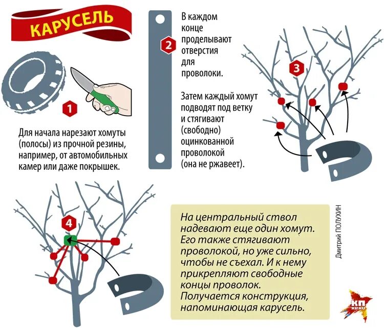 Переключение веток. Подвязка веток плодовых деревьев. Опора для веток плодовых деревьев. Подпорки под ветви плодовых деревьев. Подвязать ветки яблони.