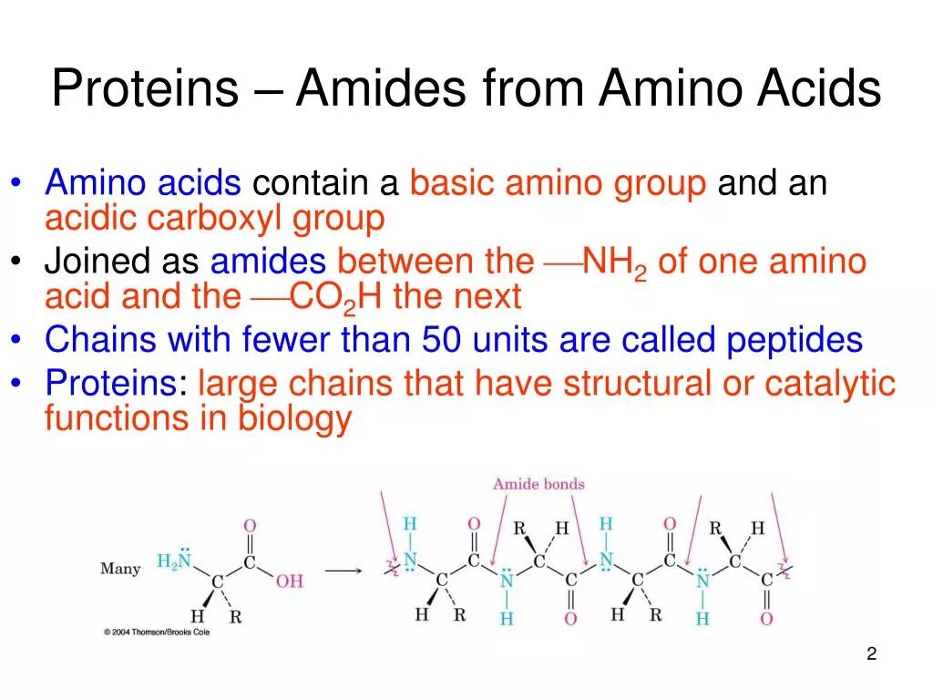 Amino acid Protein. Амид аминокислоты. Peptids and Amino acids. Пептиды и аминокислоты в косметологии.