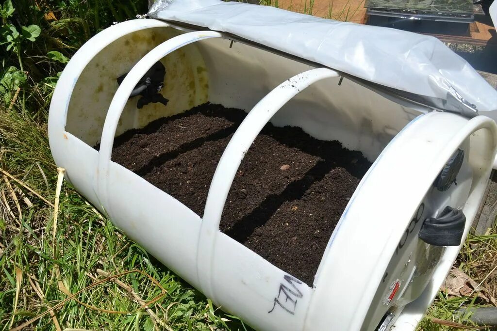 Парник в бочке. Система капельного полива в теплице. Бочка парник для огурцов. Бочка в теплице для полива. Бочка в парнике.