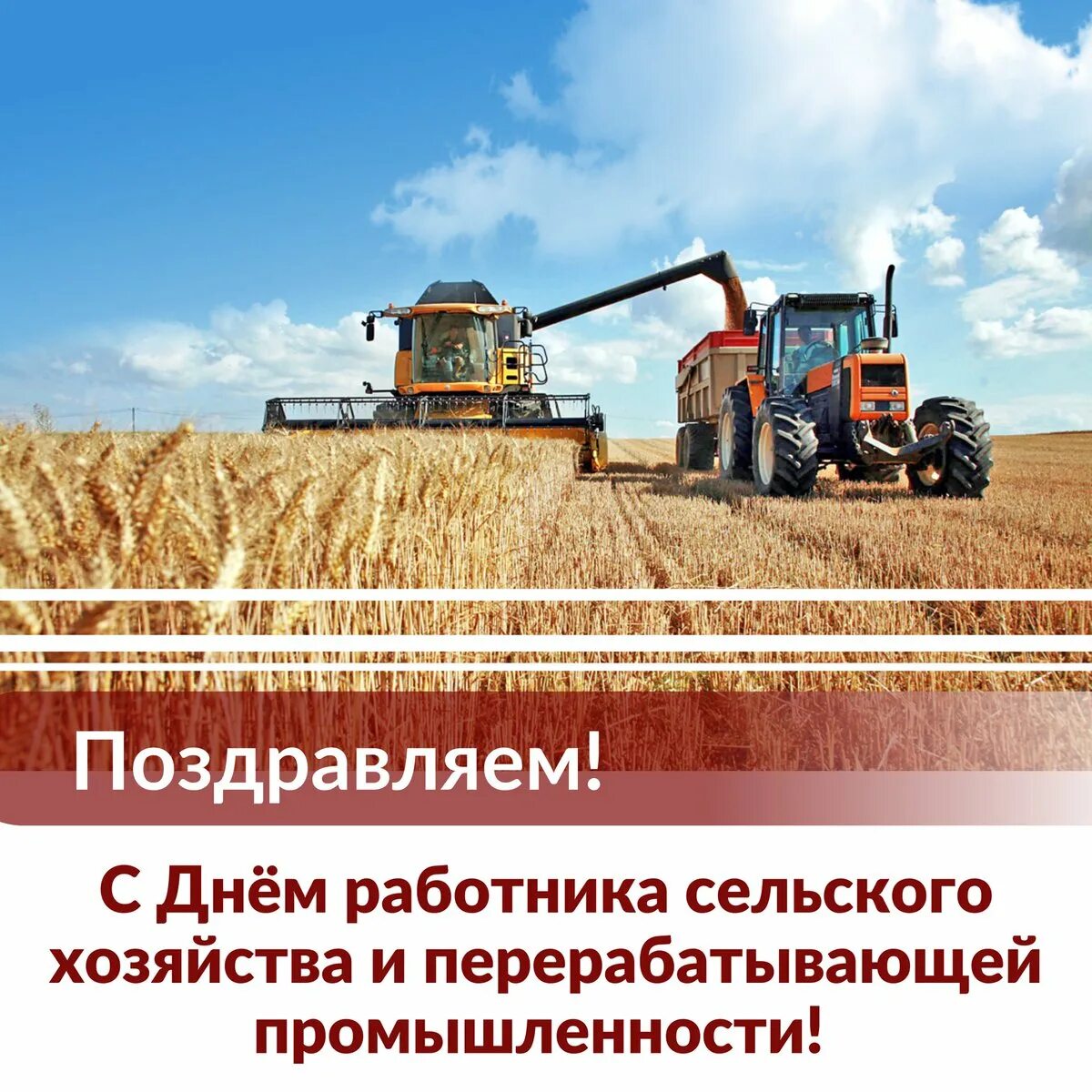 Этот текст размыт и вы не сможете его прочитать.