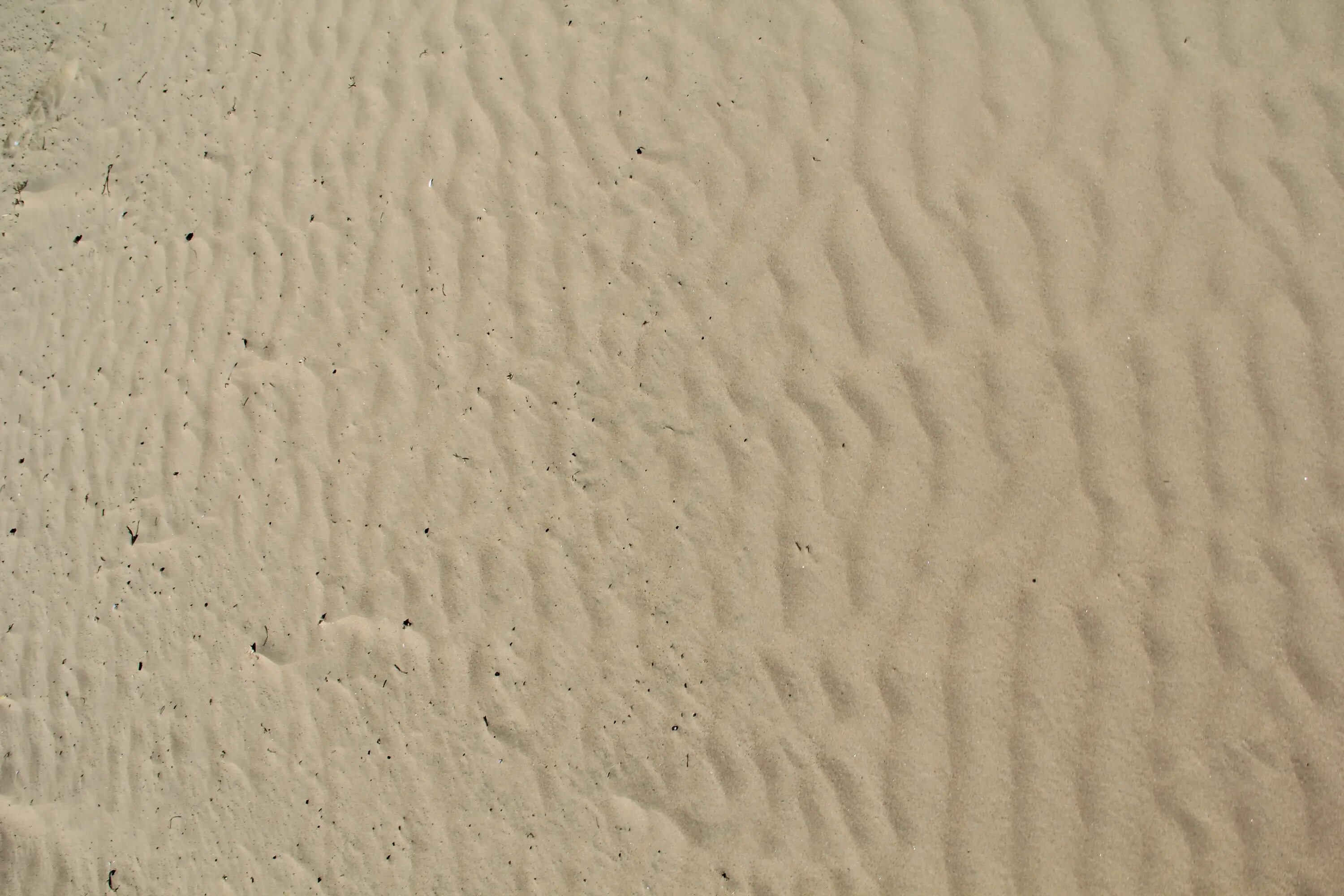 Текстура песка бесшовная. Песчаные дюны текстура. Морской песок текстура. Отпуск слово на прозрачном фоне. Песочная надпись в фотошопе.