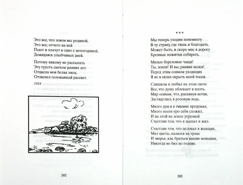 Анализ стиха не жалею не зову