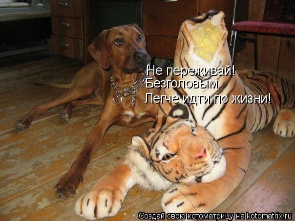 Так не интересно получается. Никогда не говори я ошибся. никогда не говори что ошибся скажи надо же как интересно получилось. никогда не говори говори интересно получилось. не надо говорить я ошибся.