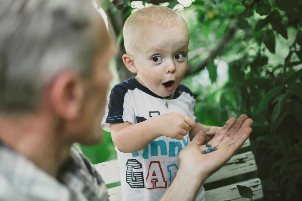 Гусев обучение