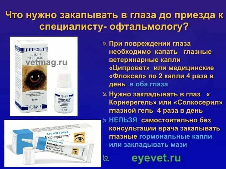 Капли закапывают после операции. Капли в глаз при травме глаза. Капли в глаза при ушибе глаза. Капли при ушибе глаза. Капли и мази при травме глаза.