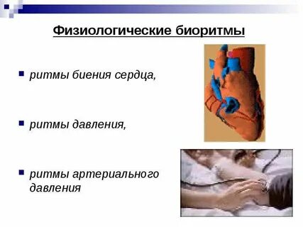 Физиологический ритм