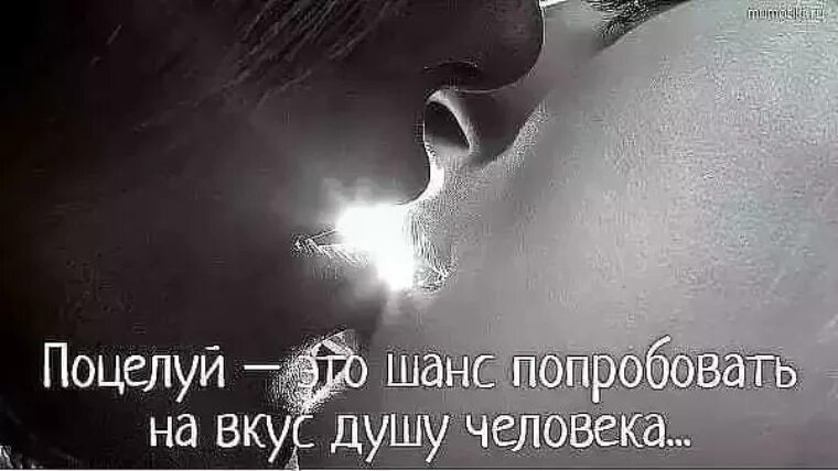 2 2 нежно и долго. Цитаты про поцелуй. Цитаты про поцелуй в губы. Слово поцелуй. Красивые высказывания о поцелуях.