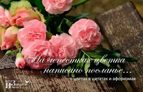 Отблагодарить разбор