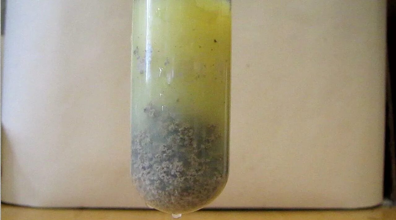Раствор олеума в воде. Ацетиленид серебра цвет осадка. Осадок ацетиленида серебра. Ацетиленид серебра Синтез. Ацетиленид серебра c2h5cl.