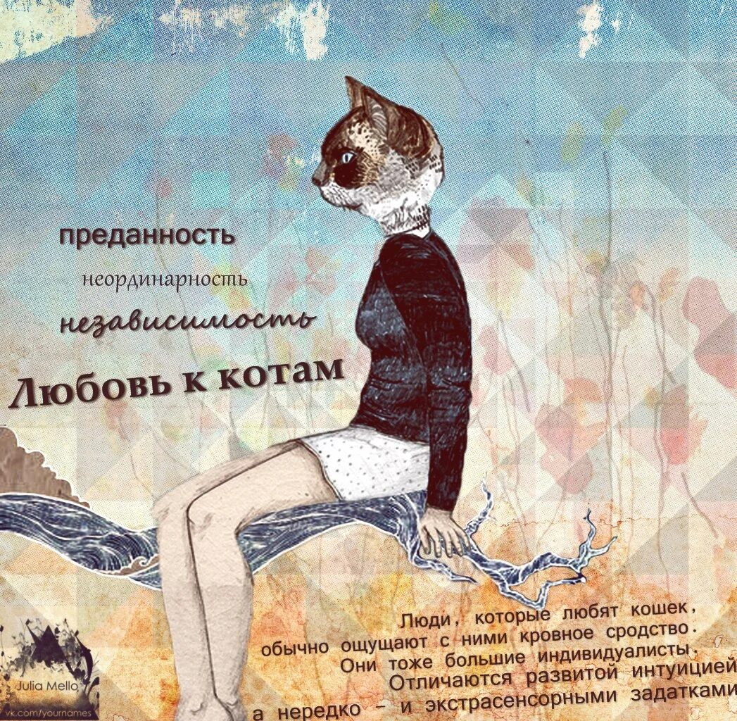 Больше нравится кот. Фразы про кошек. афоризмы про кошек. цитаты с котами. высказывания о кошках.