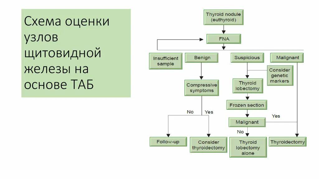 Щитовидная железа классификация. Таб узла щитовидной железы показания. Схема оценки функции щитовидной железы. Таб узла щитовидной железы расшифровка. Классификация узловых образований щитовидной железы.