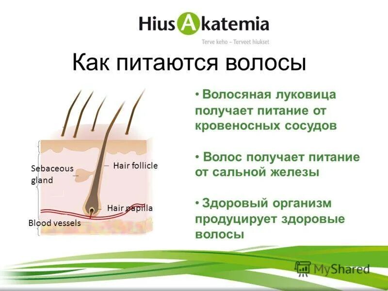 Чего не хватает если выпадают волосы