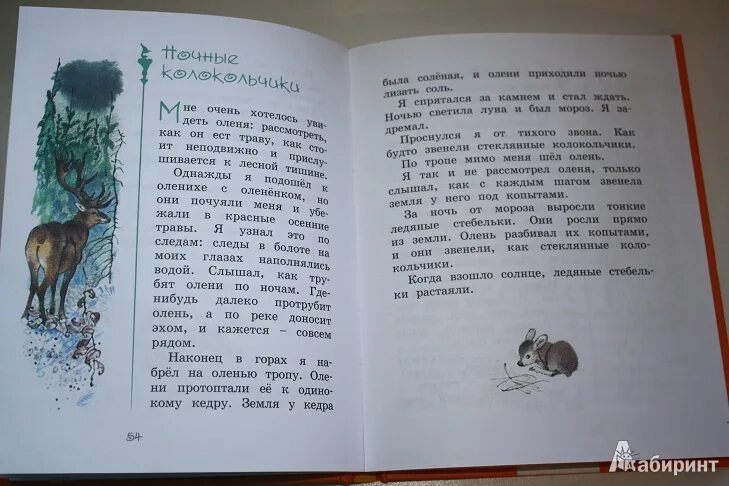 Карликовая береза Снегирев читать. Снегирев рассказы для детей 2 класса. Снегирев г. карликовая береза. Г.Я Снегирёв карликовая береза. Снегирев рассказы текст