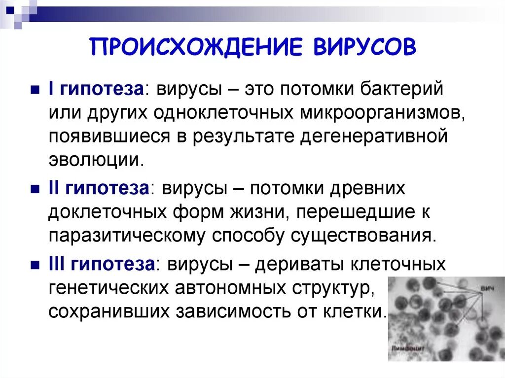 Происхождение вирусов. Гипотезы происхождения вирусов. Теории происхождения вирусов. Вирусы Эволюция происхождение.