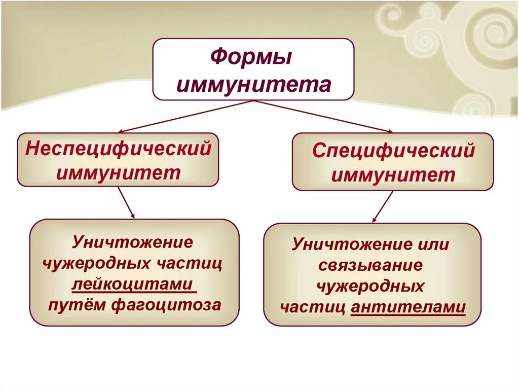 Специфический и неспецифический иммунитет схема. Специфический и неспецифический иммунитет ЕГЭ биология. Формы специфического иммунитета. Формы проявления иммунитета. Иммунная биология