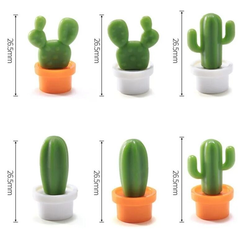Cactus Seeds  Cactus seeds, Succulent seeds, Cactus