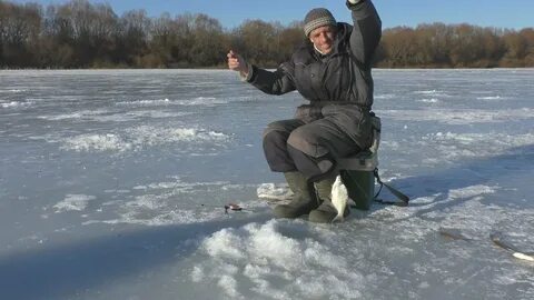 Лови обратно