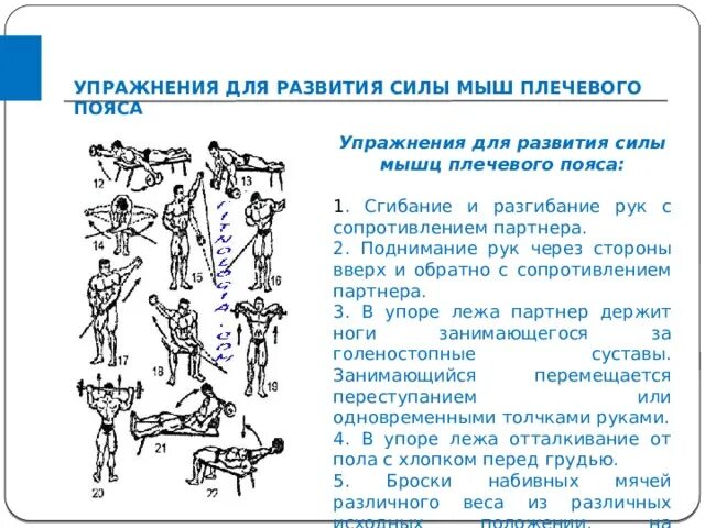 Общеразвивающих упражнений для мышц рук и плечевого пояса. Упражнения для развития силы плечевого пояса. Упражнения на развитие мышц верхнего плечевого пояса. Упражнения для развития силы рук. Выполнение упражнения на силу