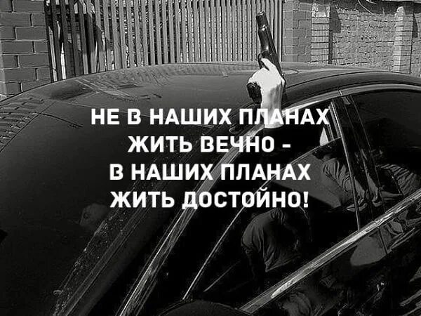 Включи жизнь достойна