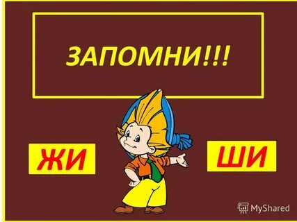 Жи мо