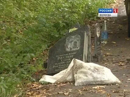 Куда девают умерших животных