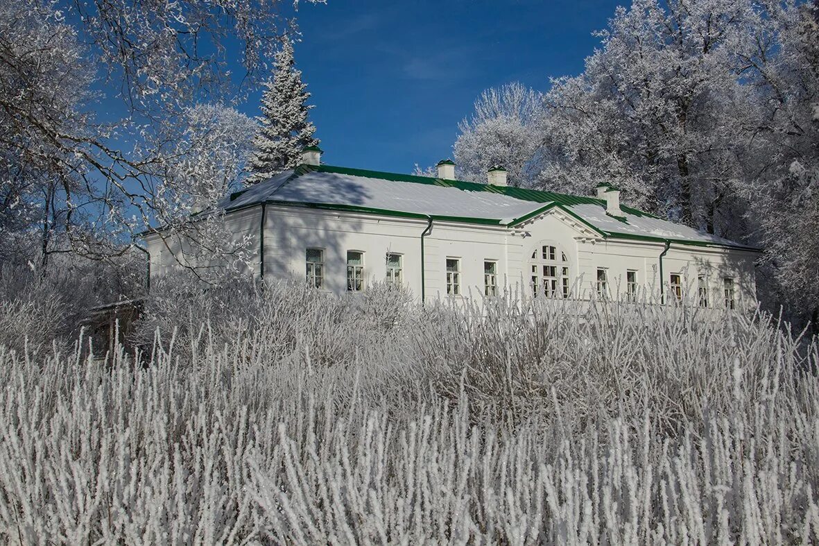 Экскурсия в ясную поляну