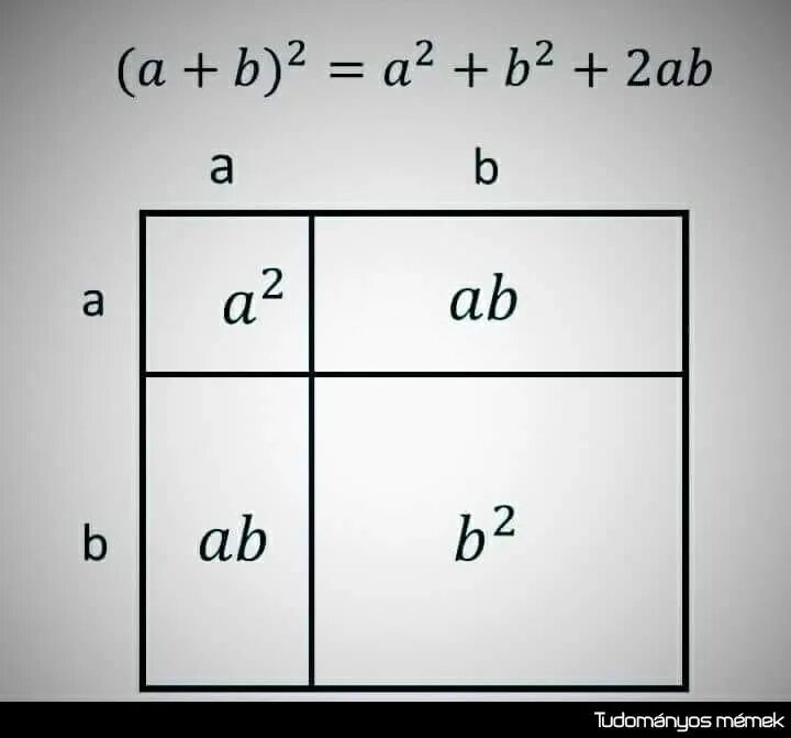 Прямоугольник разбит на четыре меньших 24 28. Прямоугольник двумя прямолинейными разрезами. Прямолинейный разрез квадрата. Прямолинейный разрез прямоугольника. Мем квадрат математика.