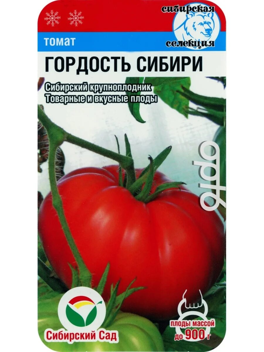 Сорт томатов гордость. Сорт томатов гордость
