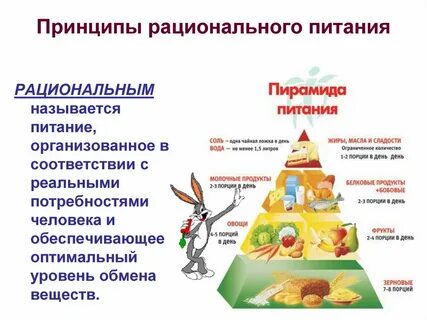 Рациональное питание основные положения