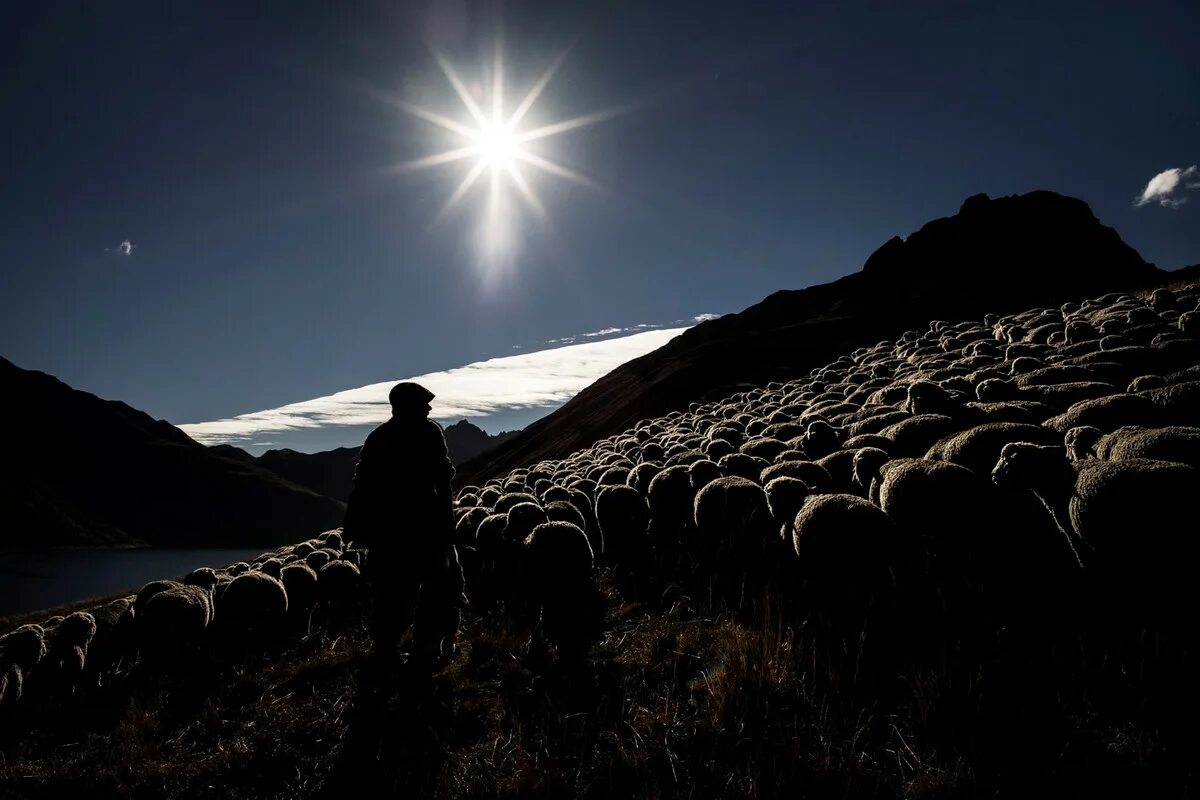 Пастух на звездном небе. Пастух ночью. Пастух в Альпах. Пастухи на поле ночью. Пастух и небо.
