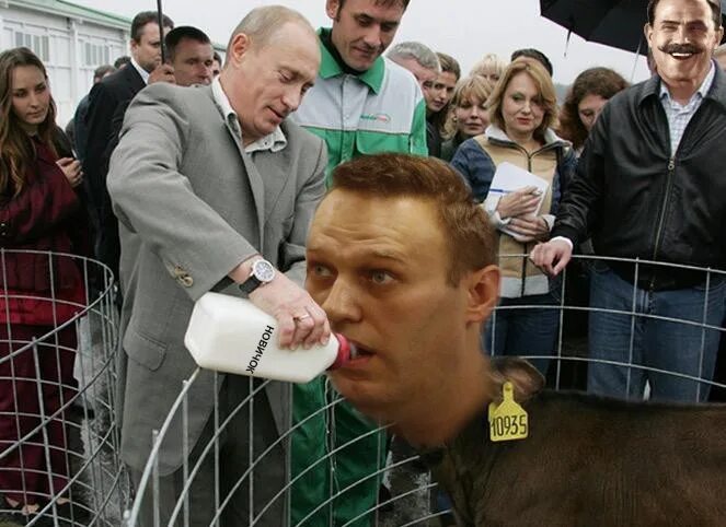 Навального жалко. Навальный про Путина. Веселый Навальный.