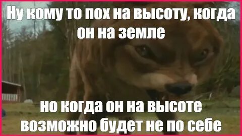 Безумно можно быть мем волк