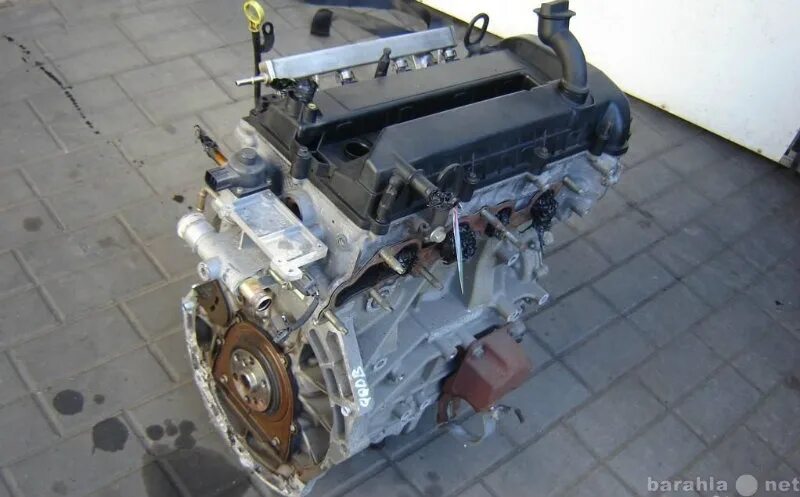 контрактный двигатель фокус 3. контрактный двигатель фокус 3. двигатель форд 2. двигатель qqdb 1. двигатель форд фокус 2 1.