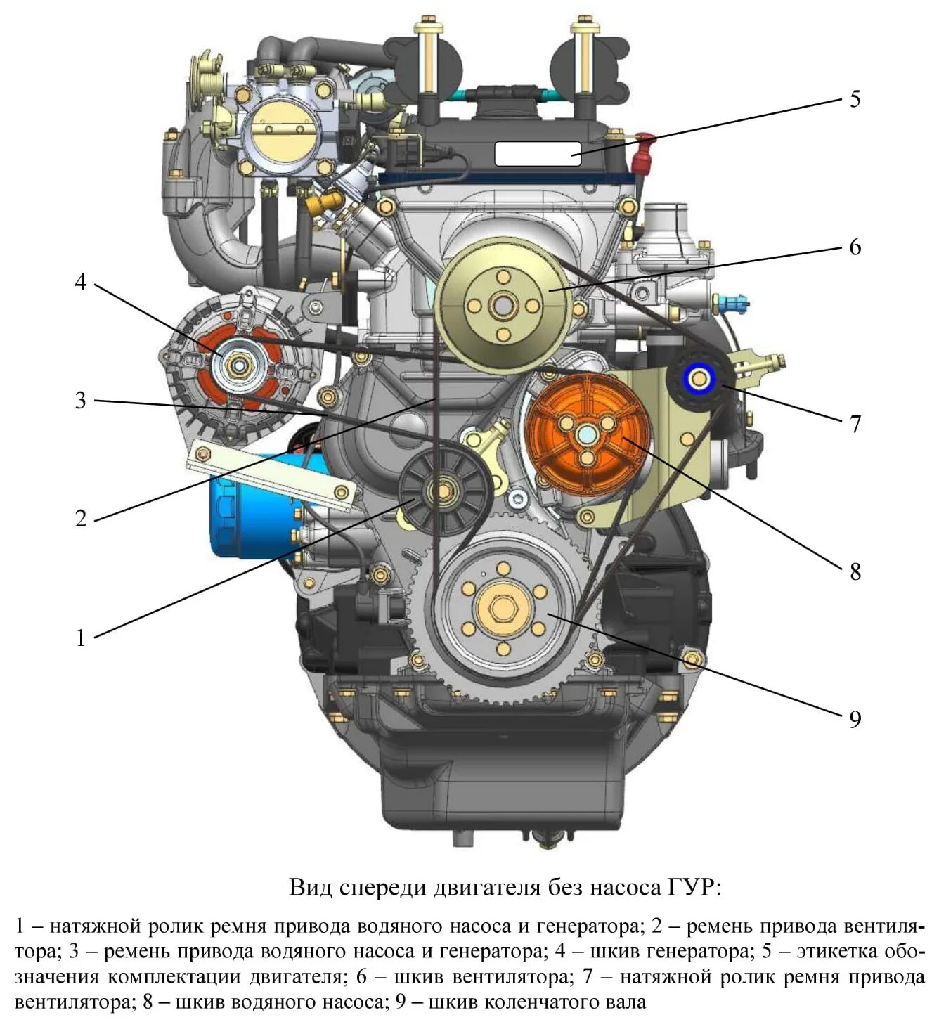 Ремень уаз 409 без гура. Ремень генератора ЗМЗ 40911. ЗМЗ 409 С ГУР вид спереди. Схема двигателя ЗМЗ 409. Ремень привода генератора ДВС 40911 УАЗ Буханка.