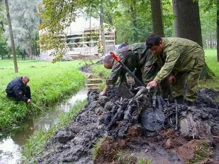 Петергофско стрельнинская группировка