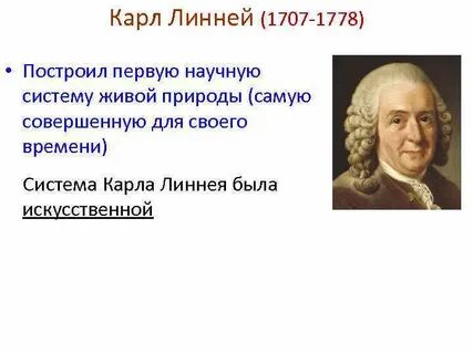 Линней система природы