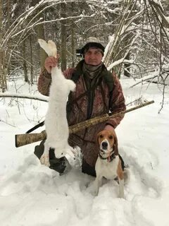 Эстонская гончая на зайца