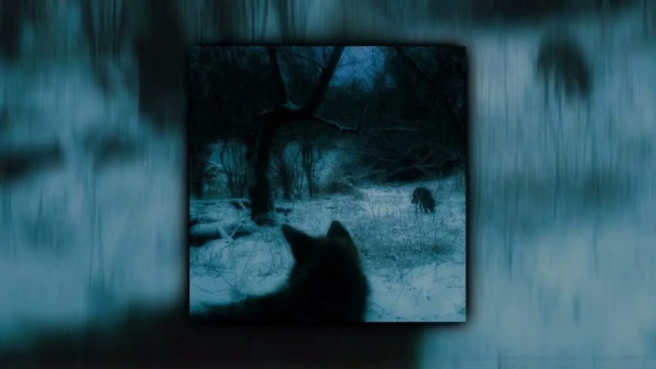 Kerosene crystal castles remix. Kerosene crystal castles remix