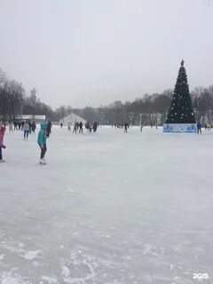 Каток в центральном парке